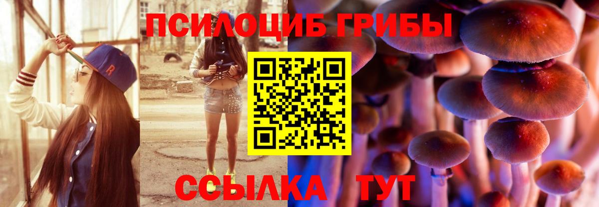 Псилоцибиновые грибы Magic Shrooms  где продают наркотики  Светлоград  Галлюциногенные грибы прущие грибы  Вход с VPN 